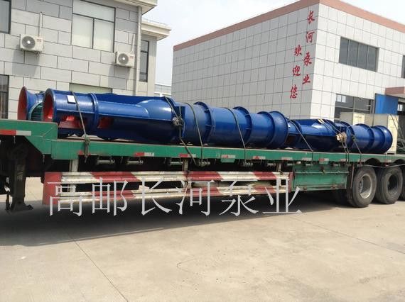 长轴轴流乐鱼(中国)