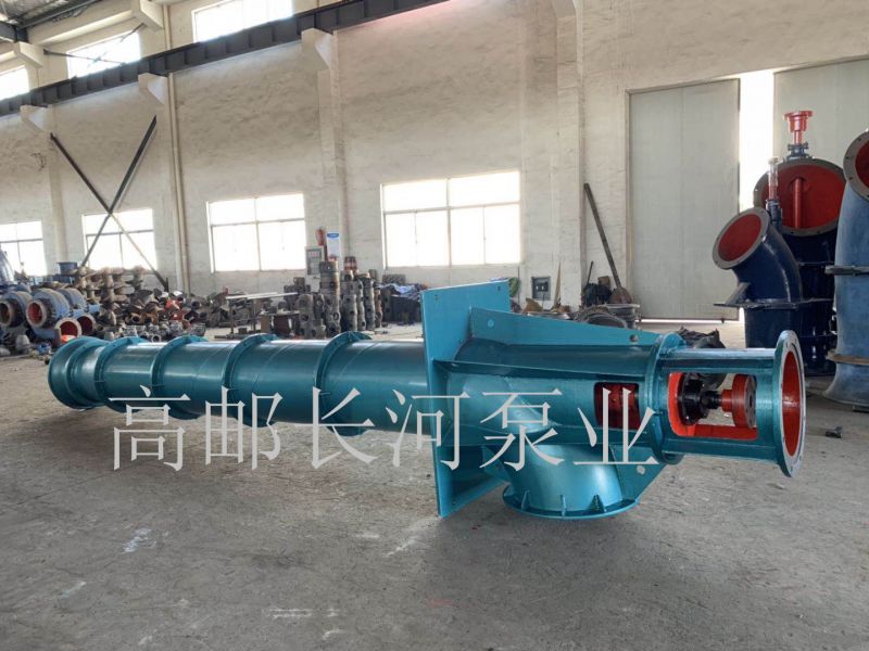 长轴轴流乐鱼(中国)